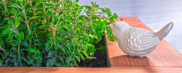 taktile Orientierungshilfe – für blinde und sehbehinderte Menschen