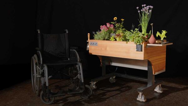 Bepflanzung Hochbeet